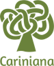 Árvore verde